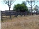 219 Alton Downs Nine Mile Road, Alton Downs QLD 4702