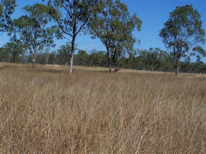 219 Alton Downs Nine Mile Road, Alton Downs QLD 4702