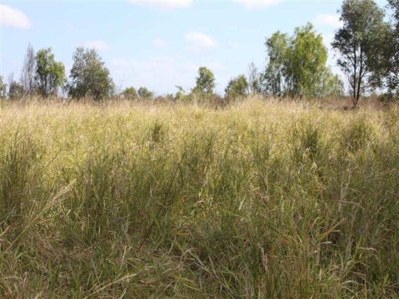 “Plattaway” Valkyrie Road, Lotus Creek QLD 4705