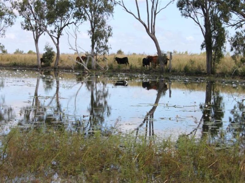 “Plattaway” Valkyrie Road, Lotus Creek QLD 4705