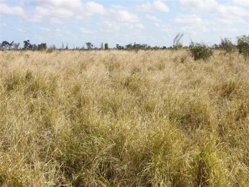 “Plattaway” Valkyrie Road, Lotus Creek QLD 4705