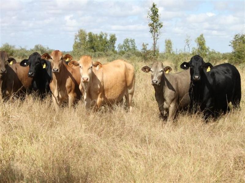 “Plattaway” Valkyrie Road, Lotus Creek QLD 4705