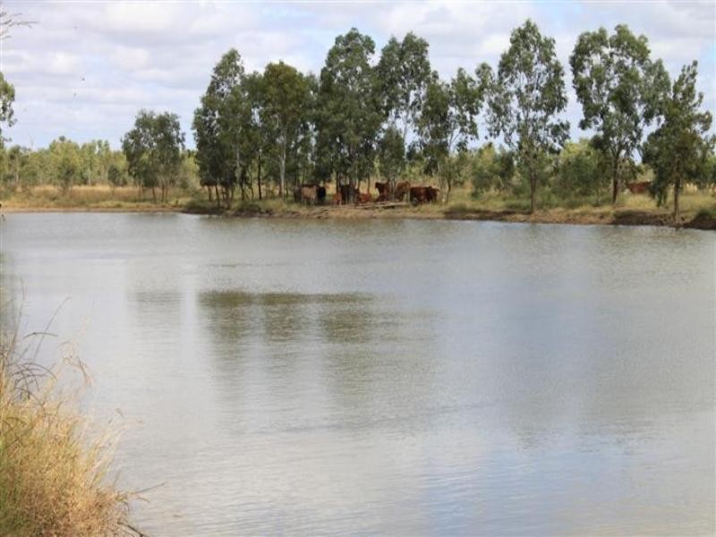 “Plattaway” Valkyrie Road, Lotus Creek QLD 4705
