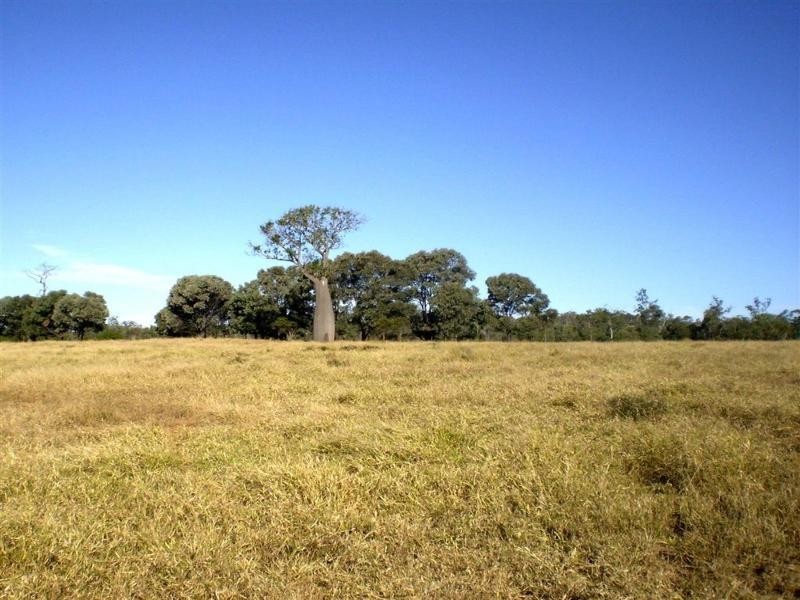 341 Newtons Road, Pheasant Creek QLD 4702