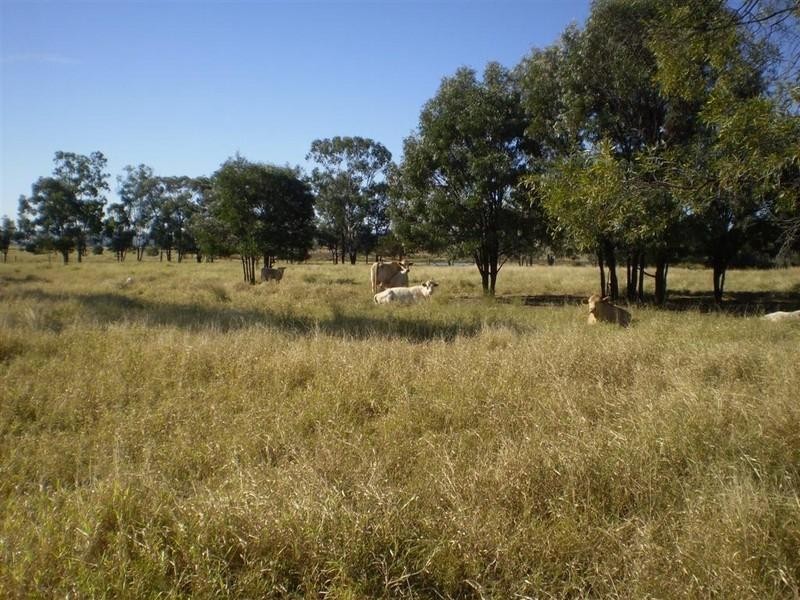 341 Newtons Road, Pheasant Creek QLD 4702