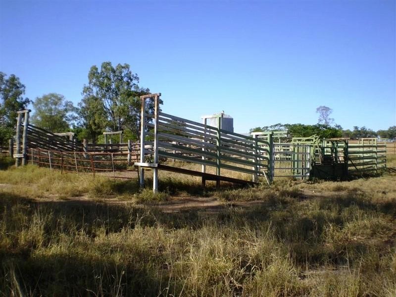 341 Newtons Road, Pheasant Creek QLD 4702
