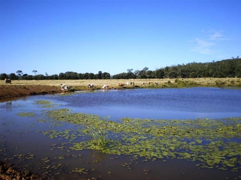 341 Newtons Road, Pheasant Creek QLD 4702