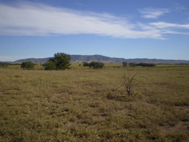 341 Newtons Road, Pheasant Creek QLD 4702