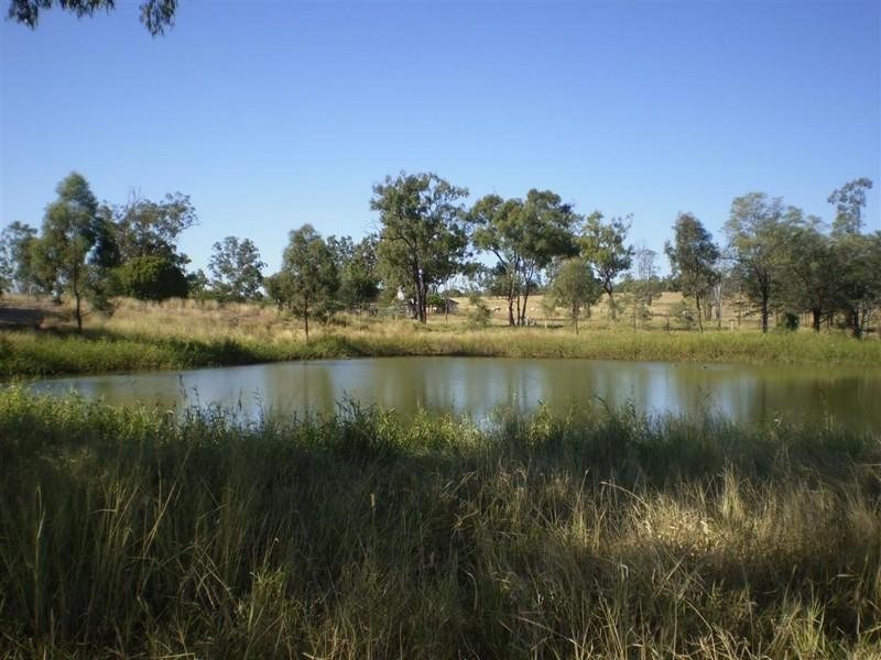 341 Newtons Road, Pheasant Creek QLD 4702