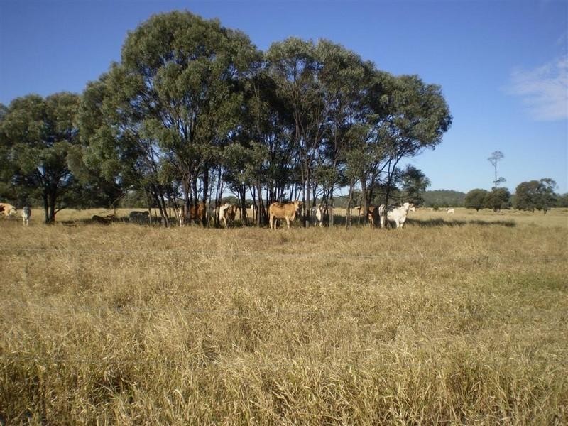 341 Newtons Road, Pheasant Creek QLD 4702