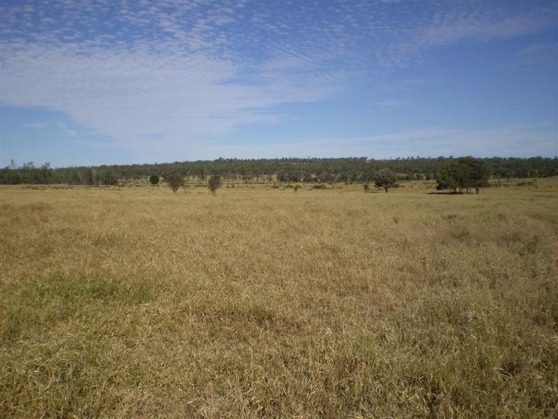 341 Newtons Road, Pheasant Creek QLD 4702