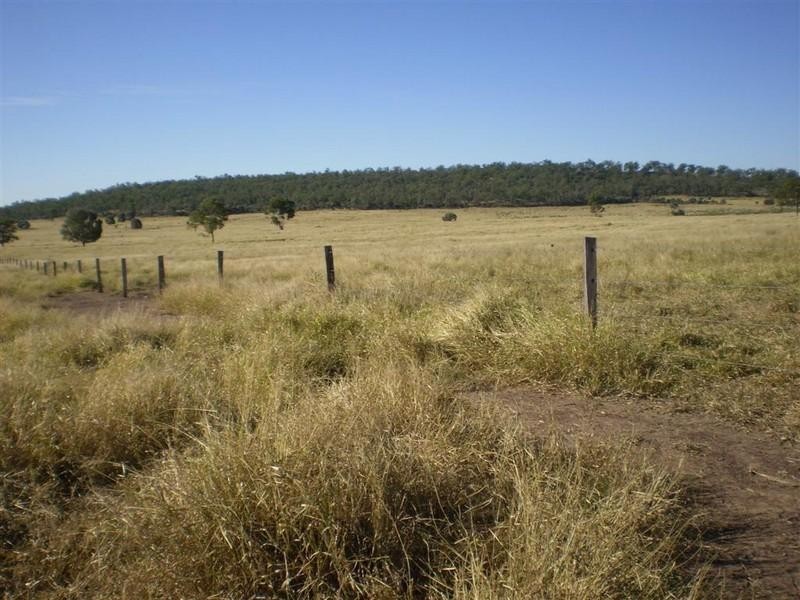 341 Newtons Road, Pheasant Creek QLD 4702