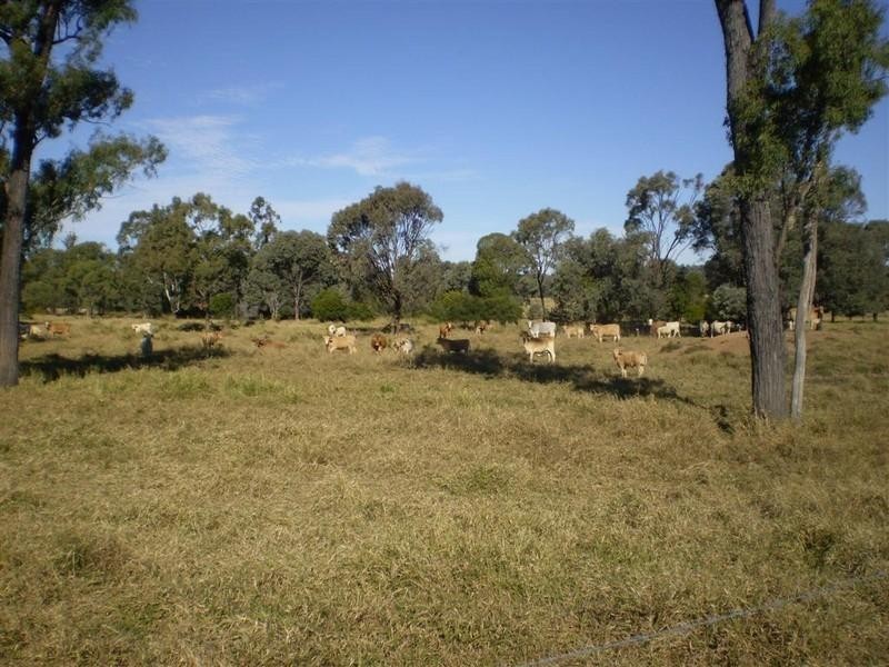 341 Newtons Road, Pheasant Creek QLD 4702