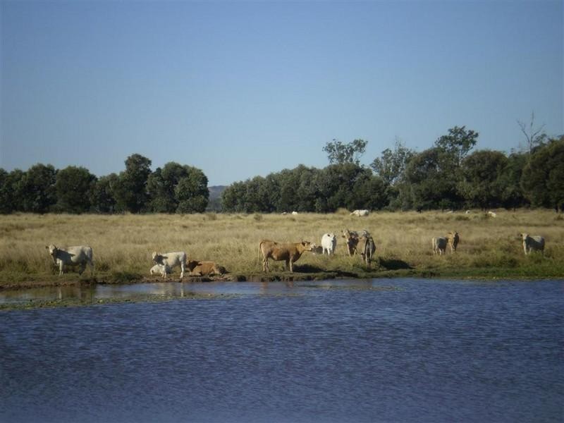 341 Newtons Road, Pheasant Creek QLD 4702