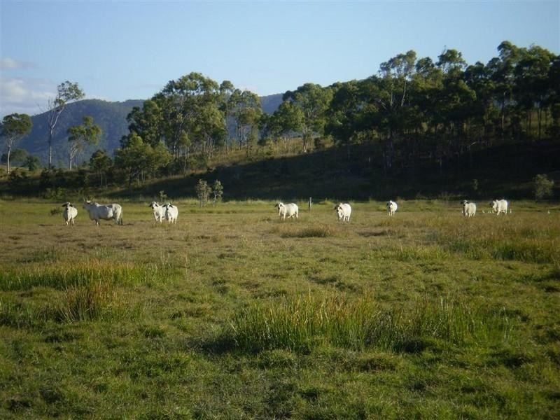 341 Newtons Road, Pheasant Creek QLD 4702