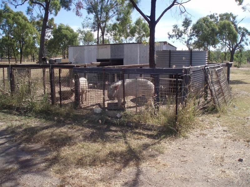 2489 Stanwell-Waroula Road, Ridgelands QLD 4702