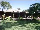 154 Black Gin Creek Road, Alton Downs QLD 4702