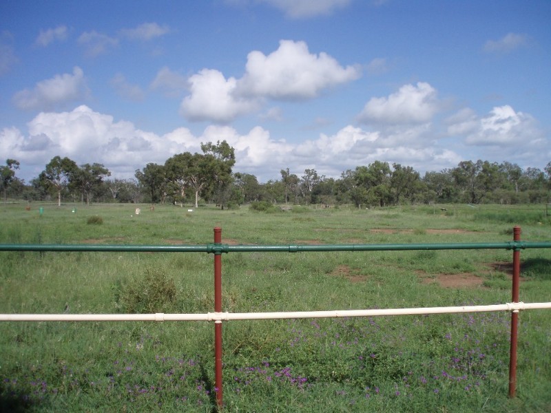 154 Black Gin Creek Road, Alton Downs QLD 4702