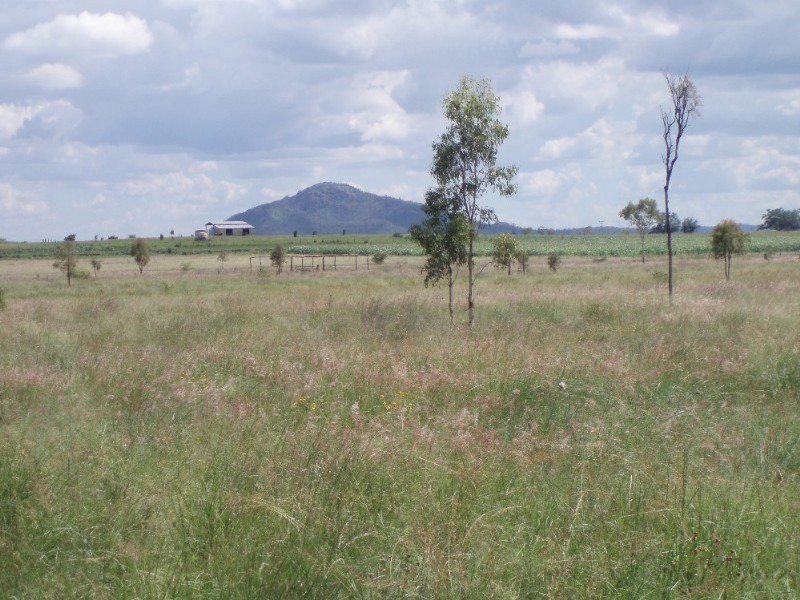 279 Reid Road, Alton Downs QLD 4702