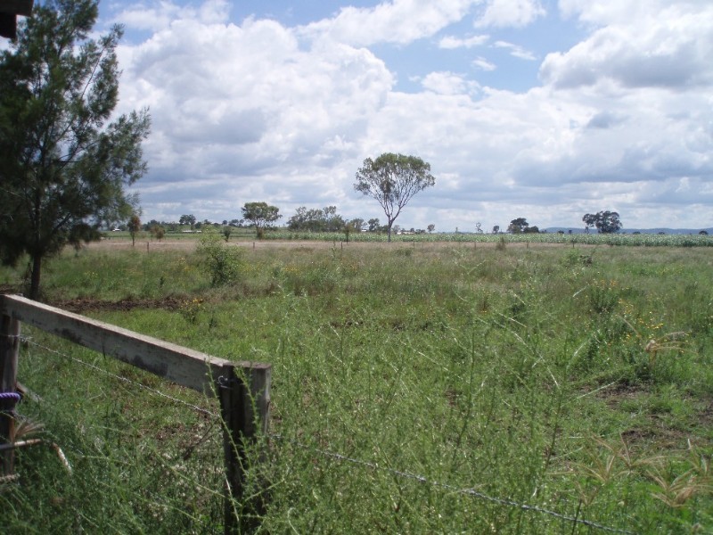 279 Reid Road, Alton Downs QLD 4702