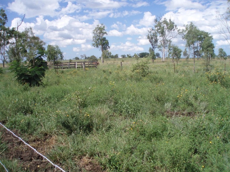 279 Reid Road, Alton Downs QLD 4702