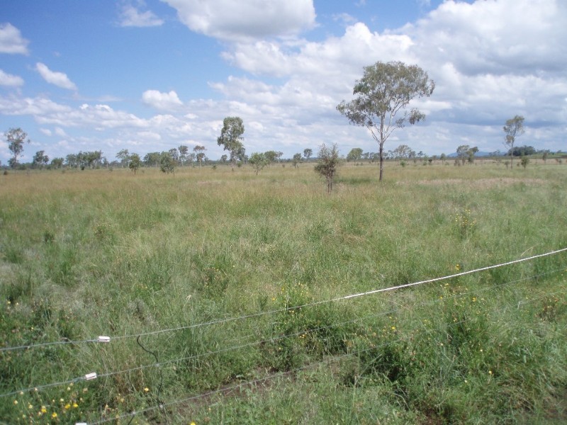 279 Reid Road, Alton Downs QLD 4702