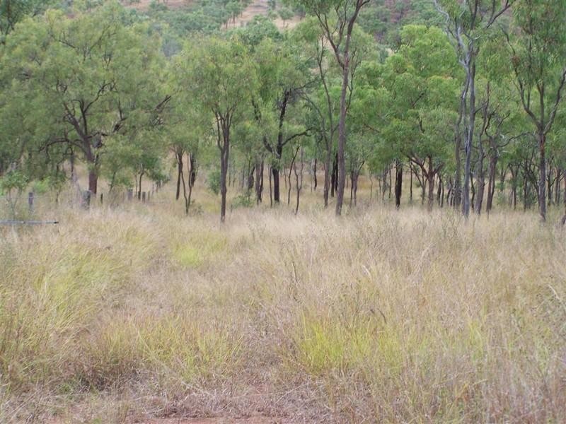 Lot 156 Capricorn Highway, Westwood QLD 4702