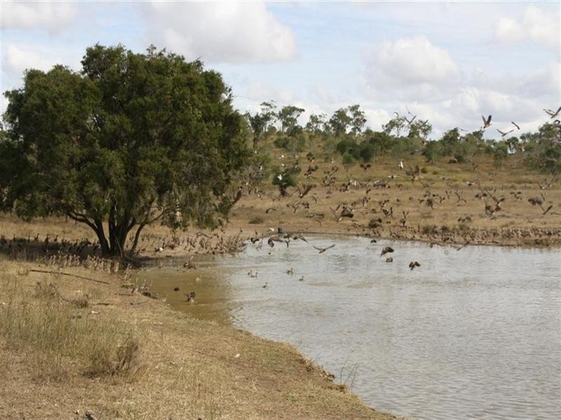 580 Dawson Road, Glenlee QLD 4711