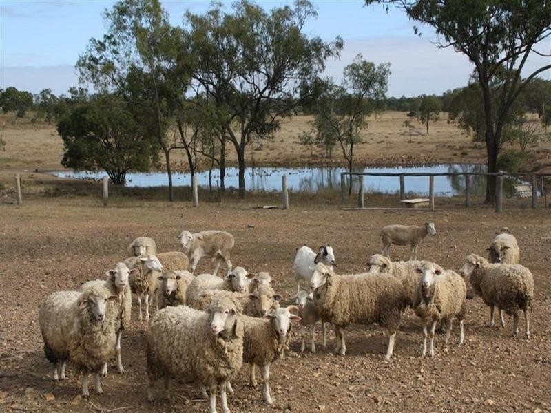 580 Dawson Road, Glenlee QLD 4711