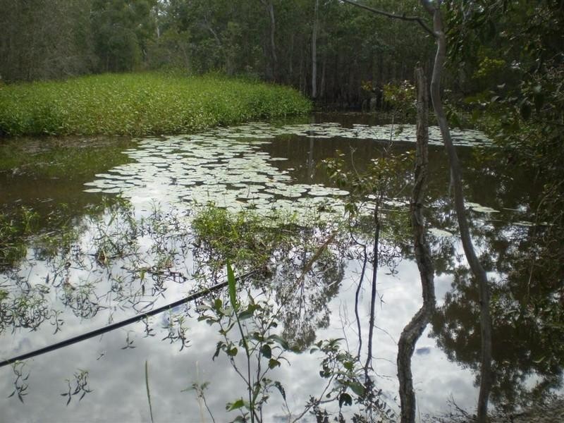 95 Manns Road, Emu Park QLD 4710