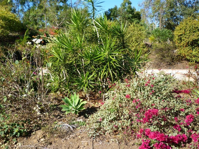 13 Rachael Close, Rockyview QLD 4701