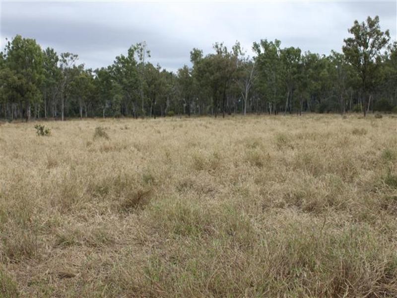 1140 Cooinda Road, Dingo QLD 4702