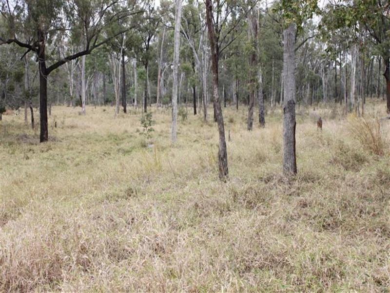 1140 Cooinda Road, Dingo QLD 4702