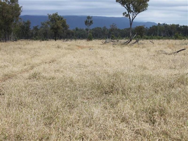 1140 Cooinda Road, Dingo QLD 4702