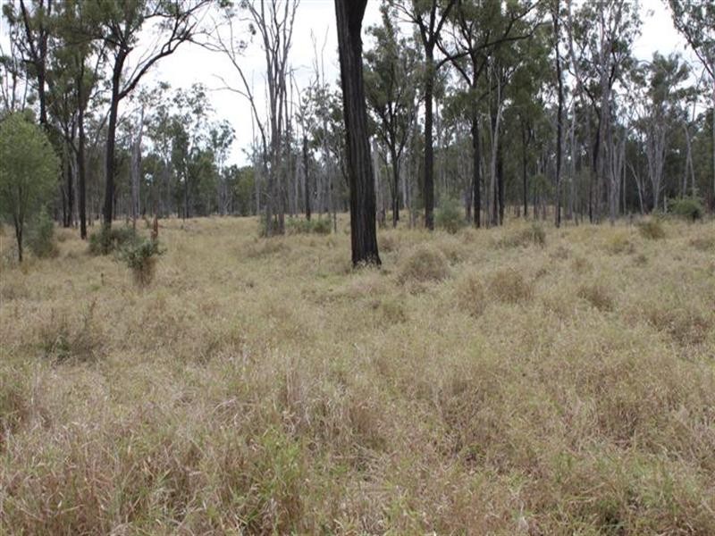 1140 Cooinda Road, Dingo QLD 4702