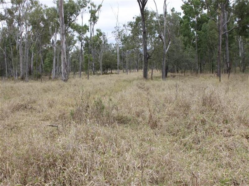 1140 Cooinda Road, Dingo QLD 4702