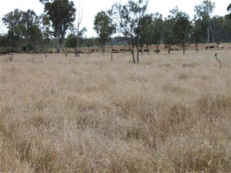 1140 Cooinda Road, Dingo QLD 4702