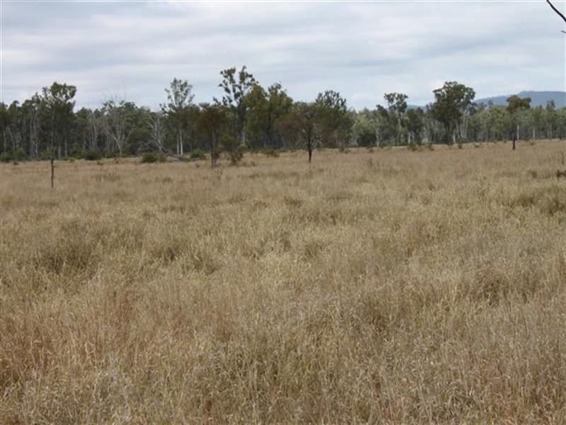 1140 Cooinda Road, Dingo QLD 4702