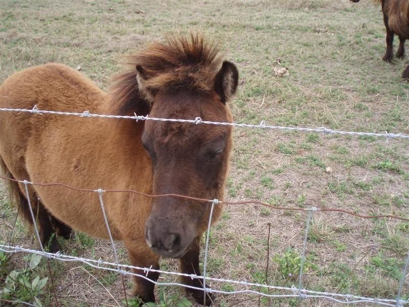 Lot 70 Burnett Highway, Bouldercombe QLD 4702