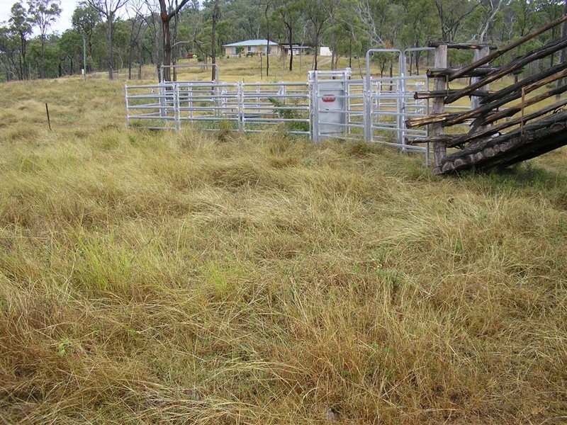 856 Upper Ulam, Bajool QLD 4699