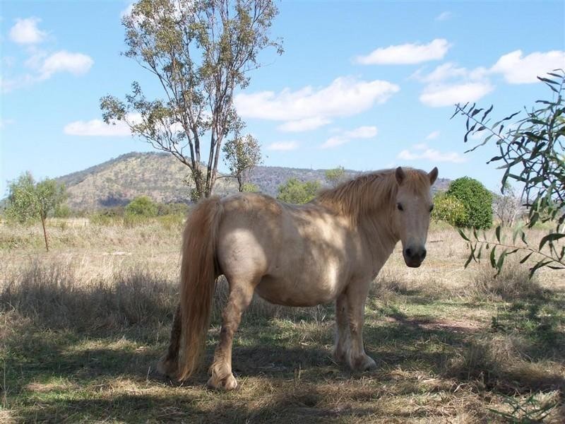 Lot 14 Kabra Road, Gracemere QLD 4702