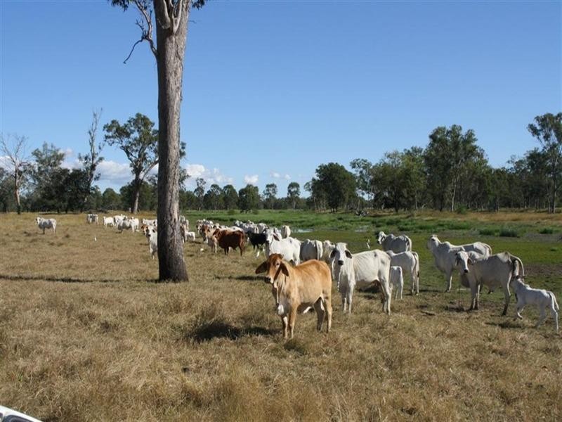 L 119 and 284 Nine Mile Road, Fairy Bower QLD 4700