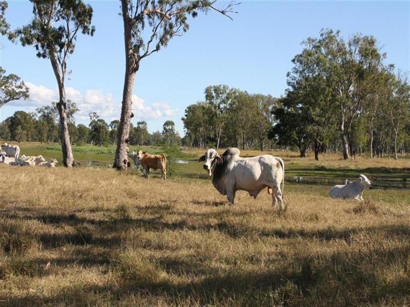 L 119 and 284 Nine Mile Road, Fairy Bower QLD 4700