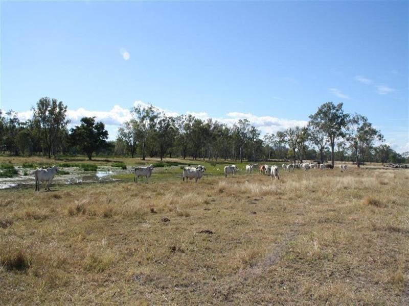 L 119 and 284 Nine Mile Road, Fairy Bower QLD 4700