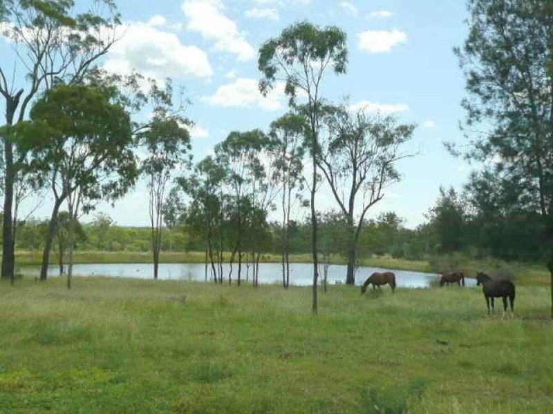 98 Black Gin Creek Road, Alton Downs QLD 4702