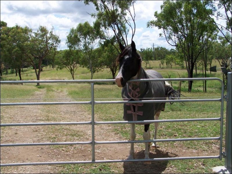52 Gum Tree Avenue, Bouldercombe QLD 4702