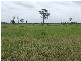 Westwood QLD 4702
