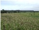Westwood QLD 4702