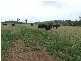 Westwood QLD 4702