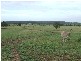 Westwood QLD 4702